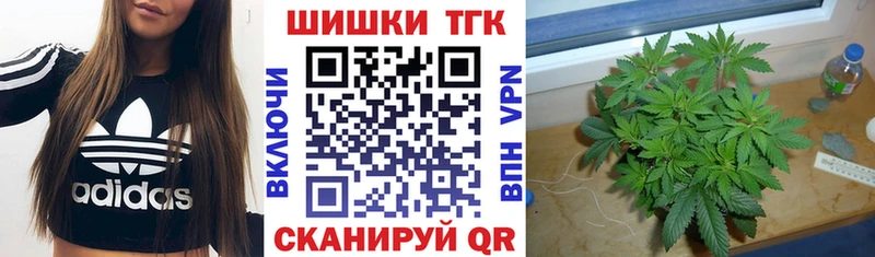 Где купить наркотики Фрязино OMG зеркало  АМФЕТАМИН  Гашиш  КОКАИН  Марихуана 