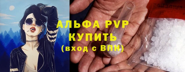 СК Алексин