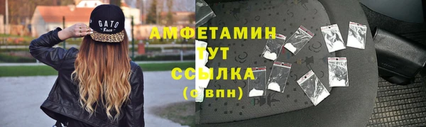СК Алексин