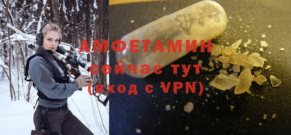 СК Алексин