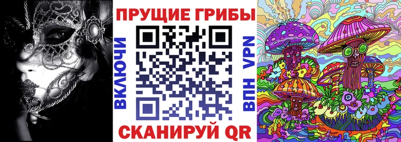 Галлюциногенные грибы ЛСД  Фрязино 